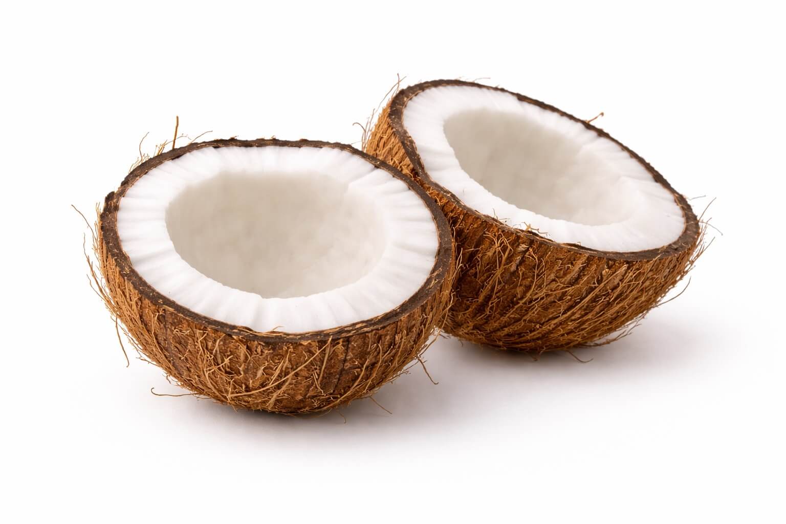 frutos de la palmera cocos